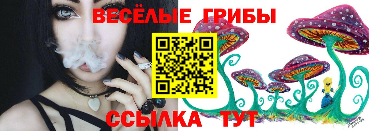 Псилоцибиновые грибы прущие грибы  что такое   Вход с VPN  Кириши  Галлюциногенные грибы ЛСД 